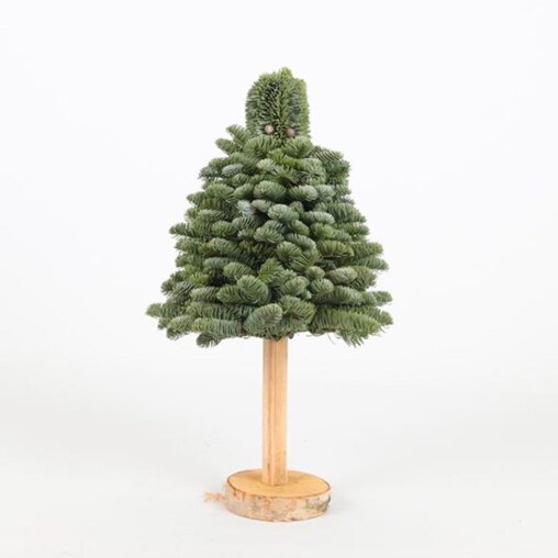 Kerstboompje op stam